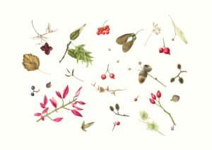 Valeria Iseppi 003 51x36